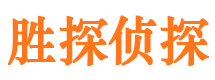 城区侦探公司